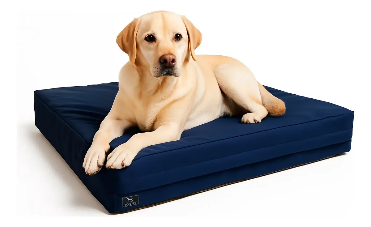 Colchon Impermeable C/ Funda Lyon Pet 100x70 Razas Grandes